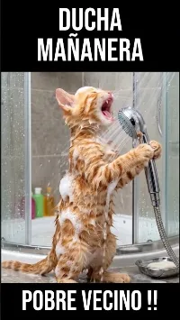 Mi gatito se ducha todas las mañanas. #humor #gatitos #comedia #animales #shorts #shortsdehumor