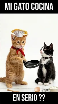Mi gato cocina!! #humor #gatitos #comedia #animales