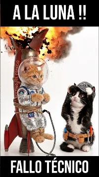 Misión Fallida: ¡Gatito a la Luna! ??