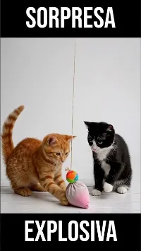 ¡Sorpresa Explosiva! ? Gatitos vs Juguete de Confeti ?